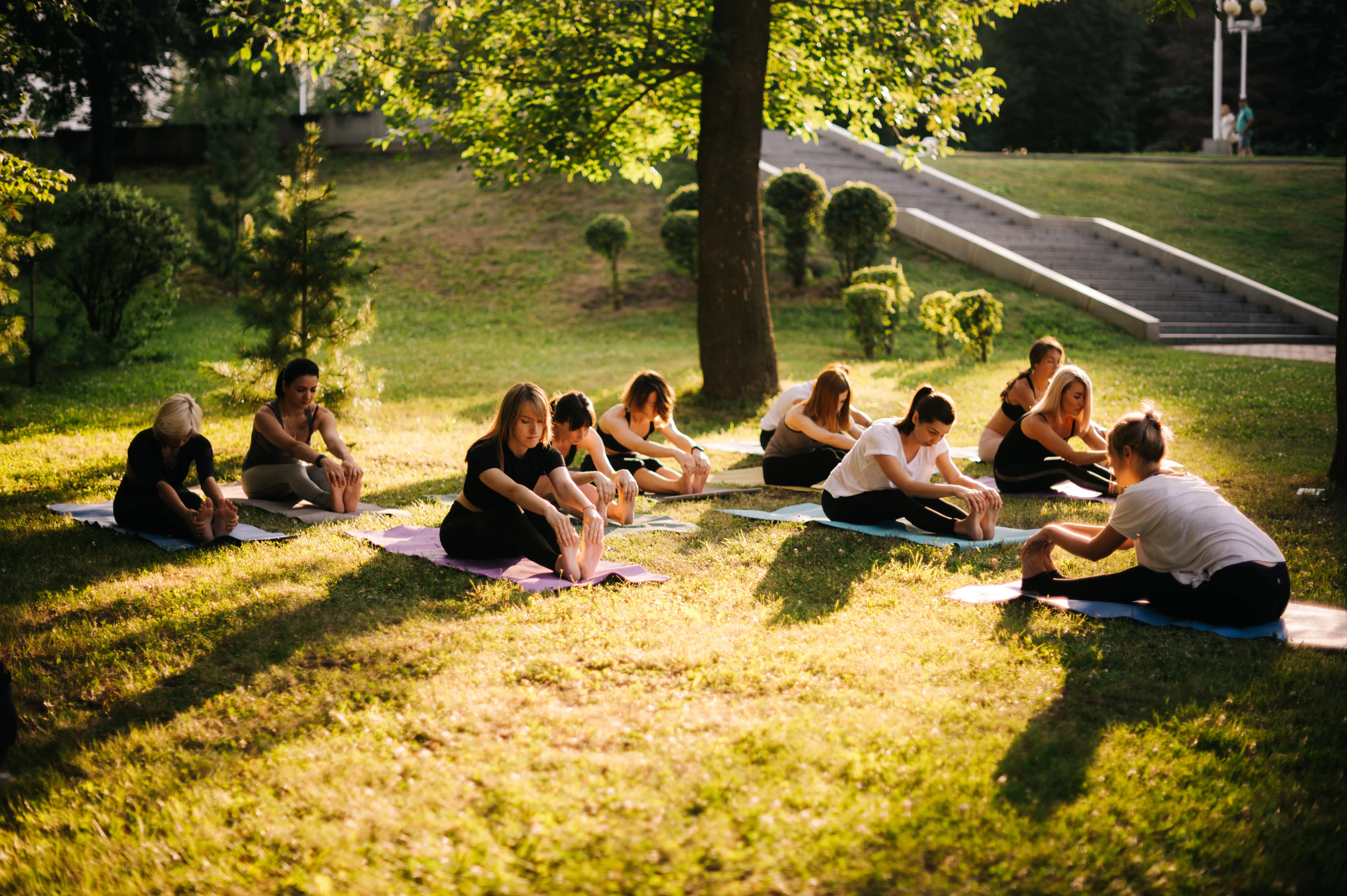 Outdoor wellness circle under California trees